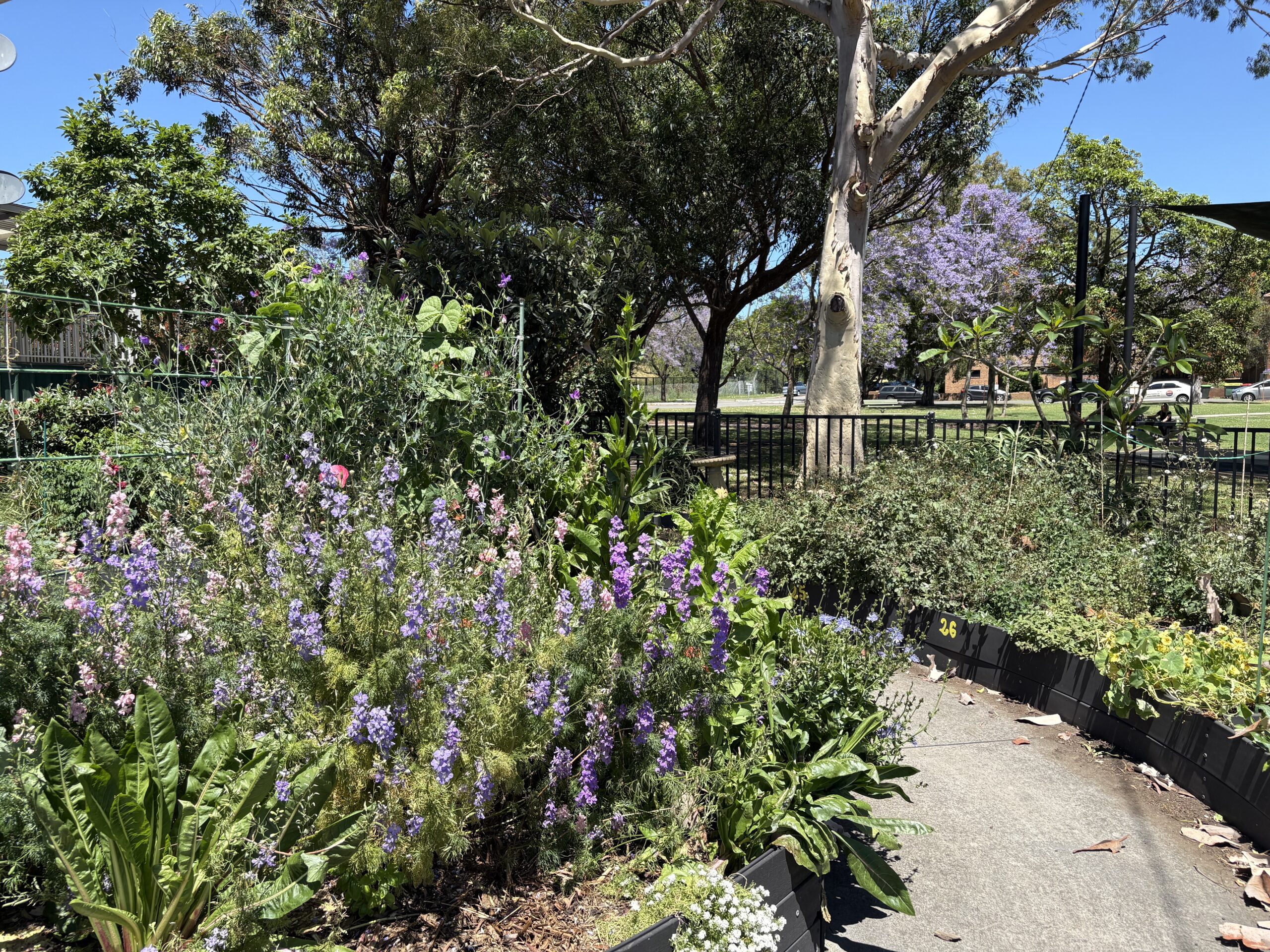 Lakemba Community Garden