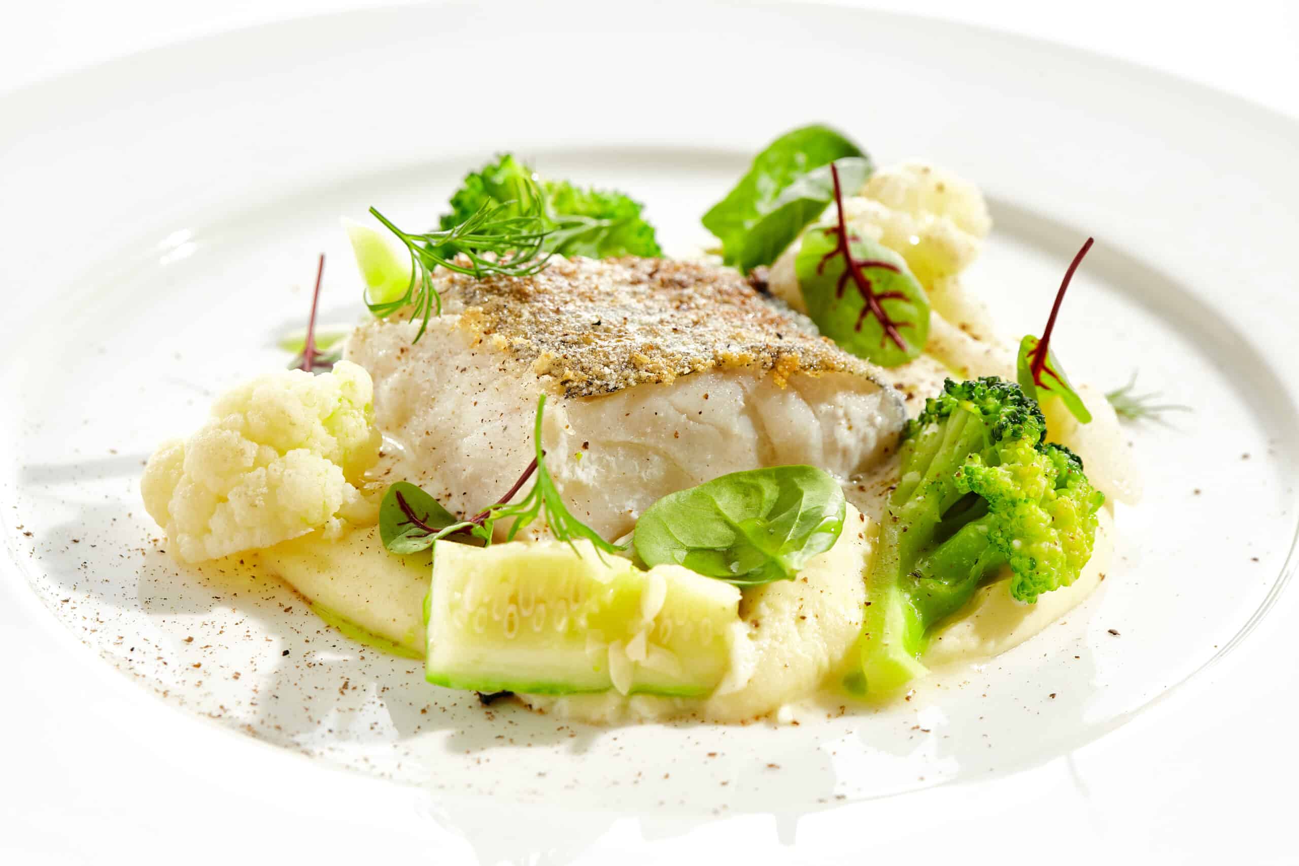 Riverhigh at Beauty Point