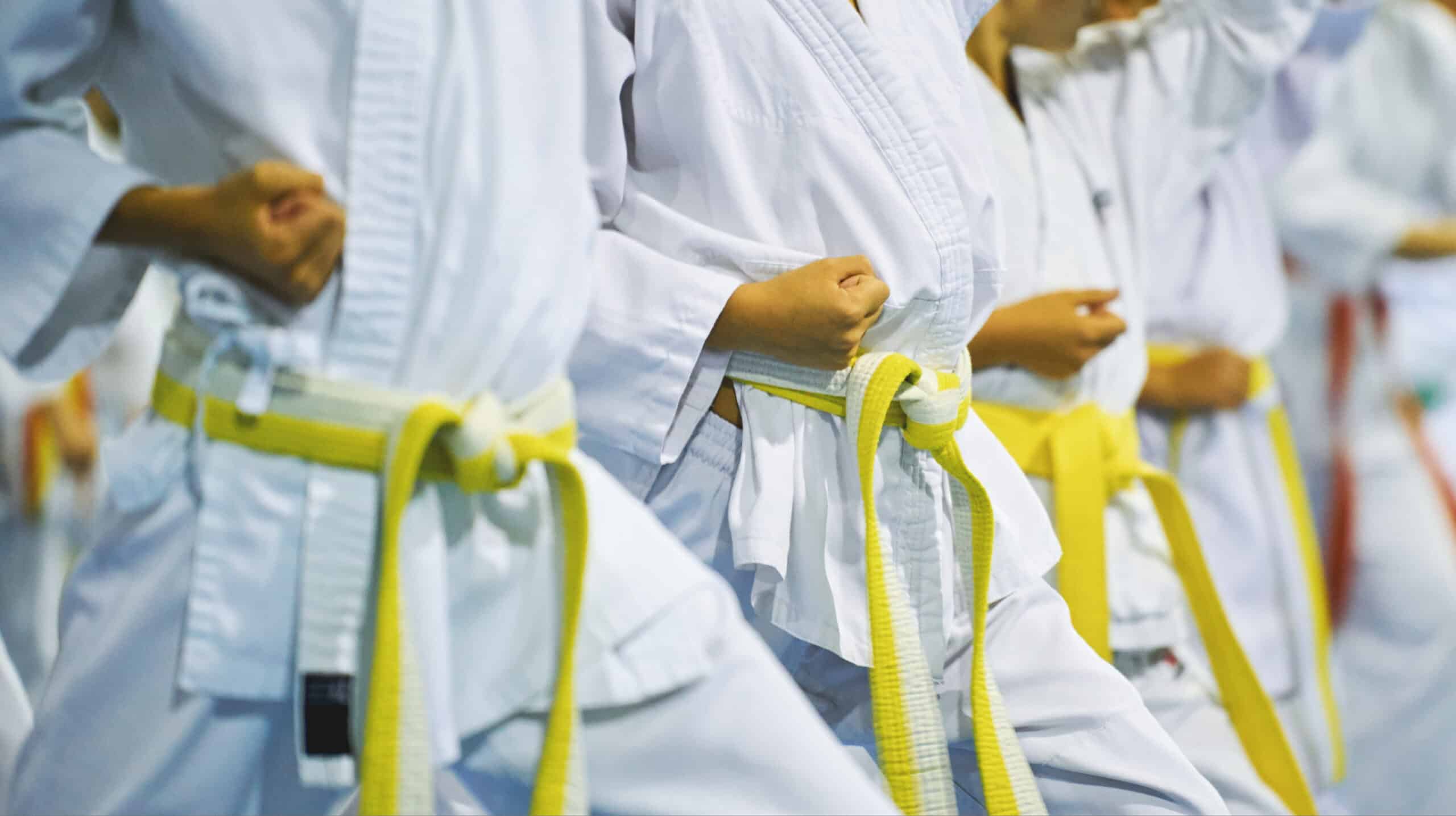 Thrive Martial Arts Belmore